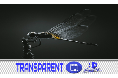 50 DRAGONFLY TRANSPARENT PNG ANIMALS PHOTOSHOP OVERLAYS BACKGROUNDS