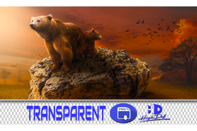 100 BEARS TRANSPARENT PNG ANIMALS PHOTOSHOP OVERLAYS BACKGROUNDS