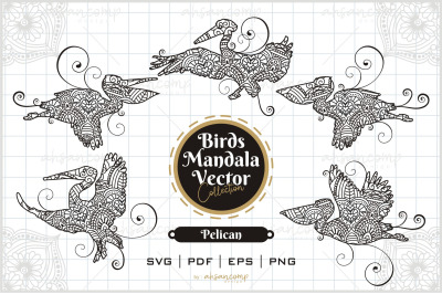 Pelican Mandala Vector