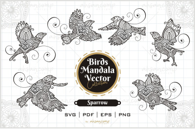 Sparrow Mandala Vector