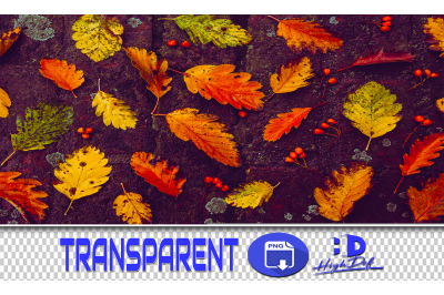 400 AUTUMN LEAVES TRANSPARENT PNG PHOTOSHOP OVERLAYS BACKGROUNDS