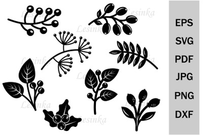 Bundle autumn leaves and berries svg&2C; Botany&2C; flora