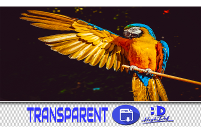 400 PARROTS AND SPARROWS TRANSPARENT PNG ANIMALS PHOTOSHOP OVERLAYS