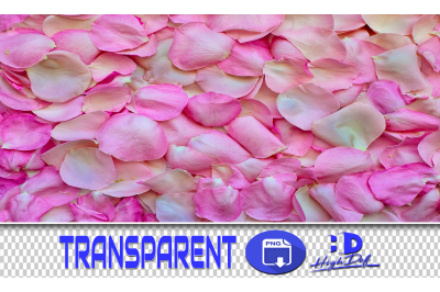 500 FLOWER PETALS TRANSPARENT PNG PHOTOSHOP OVERLAYS BACKGROUNDS