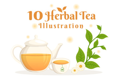 10 Herbal Tea Chamomile Leaves Illustration