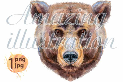 Bear head. Watercolor bear painting illustration isolated&nbsp;