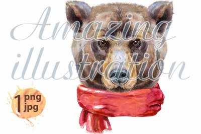 Bear head in red scarf