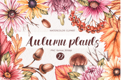 Watercolor Autumn plants clipart PNG
