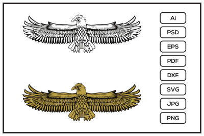 United State Marine Corps Eagle design illustration
