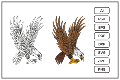 United State Marine Corps Eagle design illustration