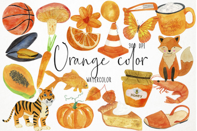 Watercolor Orange Clipart, Orange Color Clipart, Orange Objects Clipar
