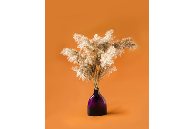 Dry reeds in a vase