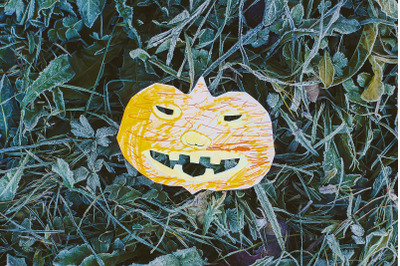 Funny paper pumpkin on grass