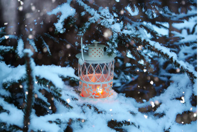 Lantern with candle on tree branch