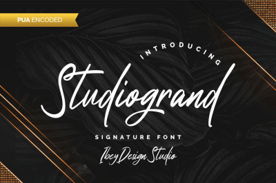 Studiogrand - Signature Font
