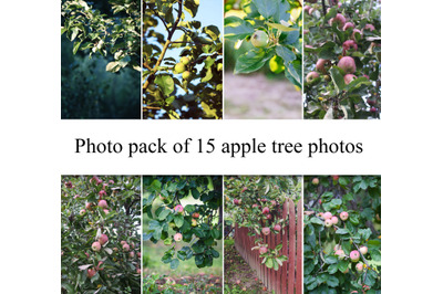 Apple tree photo pack