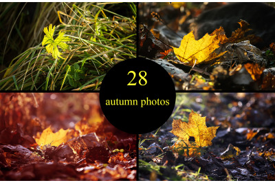 28 autumn nature photo pack
