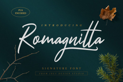 Romagnitta - Signature Font