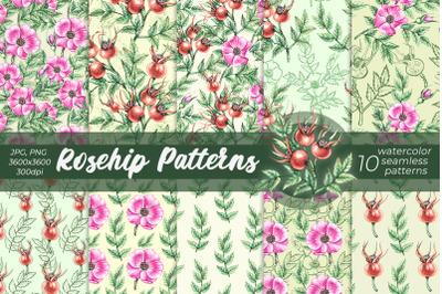 Watercolor Rosehip patterns Watercolor Patterns PNG, JPG