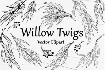 Eucalyptus Willow Twigs Vector SVG Clipart