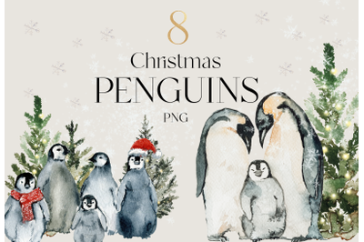 Christmas penguin, watercolor penguins, hand painted png