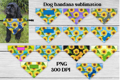 Dog bandana sublimation | Sunflower dog bandana bundle