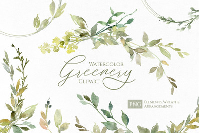 Watercolor Green Leaves Branches Png