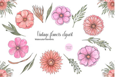 Pink Floral Elements | Watercolor Pink Flowers Clipart