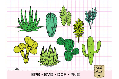 Cactus svg, Cactus Plants svg bundle