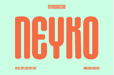 Neyko Sans Serif Display Font