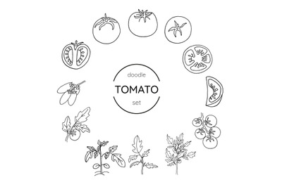 Set of tomato  and tomato plant