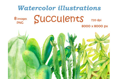 Watercolor illustrations of indoor flowers