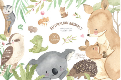 AUSTRALIAN ANIMALS. Watercolor collection