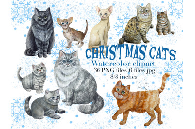 Christmas cats,Kitten clipart