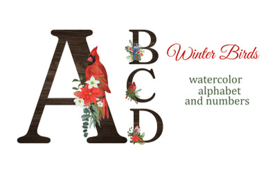 Winter alphabet clipart with birds
