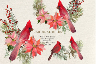 Christmas Decor Cardinal Birds Clipart