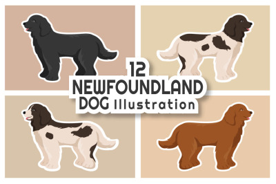 12 Newfoundland Dog Illustration