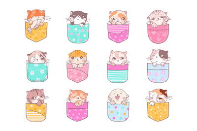 Kittens in pockets. Kawaii pocket kitten&2C; happy cute little cat t-shir