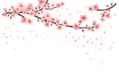 Cherry blossom. Apricot sakura flowers and flying leaves. Japanese tre