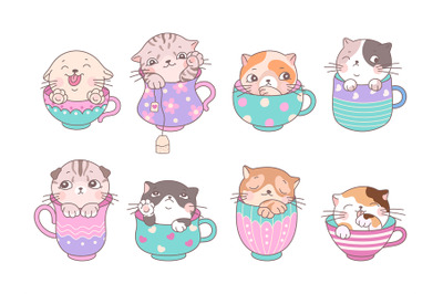 Cute cats in cup. Kitten coffee cups&2C; cartoon isolated kitty in tea mu