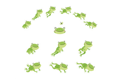 Frog jump. Isolated jumping green frogs, motion process animation. Seq