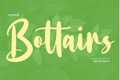 Bottairs Script Font