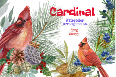 Christmas red cardinal, winter bouquets, watercolor