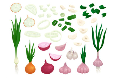 Raw onion. Half onions, vegetables slices fresh cut. Peeled garlic pie