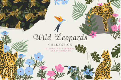 Wild Leopards Vector Set - Animal Invitation - Digital Jungle Clipart