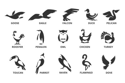 Negative space bird. Wild eagle and falcon, raven silhouette and owl e