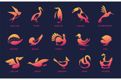 Negative space bird icons. Swan emblem, kiwi silhouette and flying swa