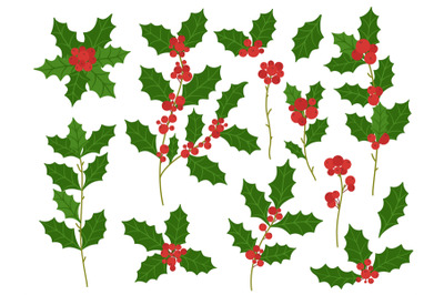 Holly branches. Christmas holiday decoration branch with red berries,