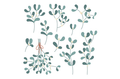 Mistletoe branches. Christmas decoration plant branch with berries and