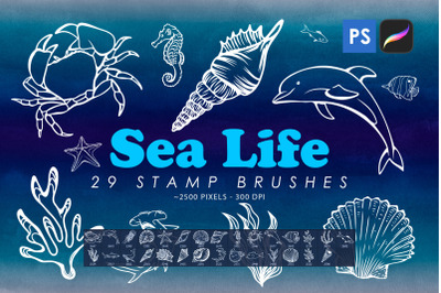 Sea Life Stamp Brushes